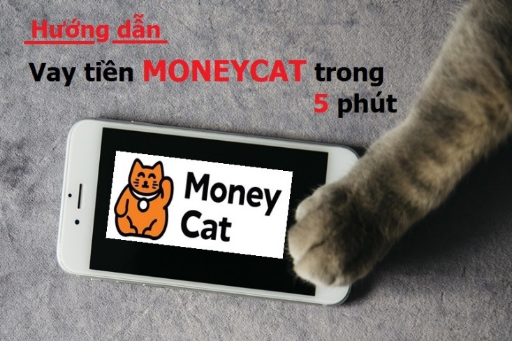 moneycat